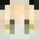 Player skin of roy400