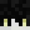 Player skin of roy404