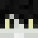 Player skin of roy405