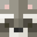 Player skin of safdsaf