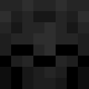 Player skin of salh_1