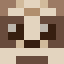 Player skin of samts8