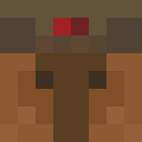 Player skin of sandr_pro