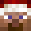 Player skin of santasteve2005