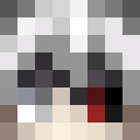 Player skin of savecoolman18