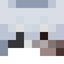 Player skin of scwox1l