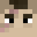 Player skin of sgthawk31