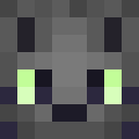 Player skin of shermeowsalot