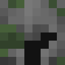 Player skin of shestovv
