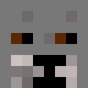 Player skin of shockersxxxw5