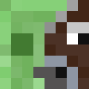 Player skin of slimebeef