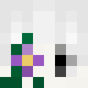 Player skin of slimesanti