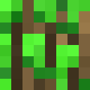 Player skin of smaugchen