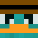 Player skin of spaateer