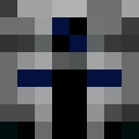 Player skin of spider21