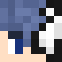 Player skin of st3pa