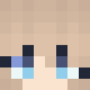 Player skin of stereyo