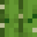 Player skin of szalynx