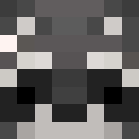 Player skin of tanvki