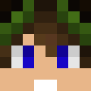 Player skin of tecniken24