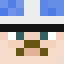 Player skin of top1world