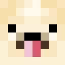 Player skin of turkeysgobble