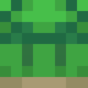 Player skin of turtlepizzabro