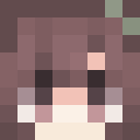 Player skin of v_ani