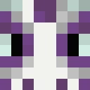 Player skin of veryice