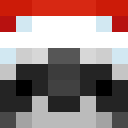 Player skin of w3Hipixq