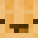 Player skin of waffles4949