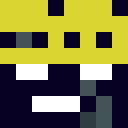 Player skin of willemjanbeerda