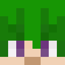 Player skin of william1hus
