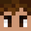 Player skin of willwireskier