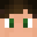 Player skin of winterwolf