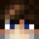 Player skin of xFenitorio