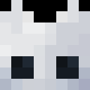 Player skin of xbignut