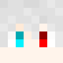 Player skin of xjren