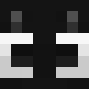 Player skin of zedskii