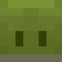 Player skin of zigpeter